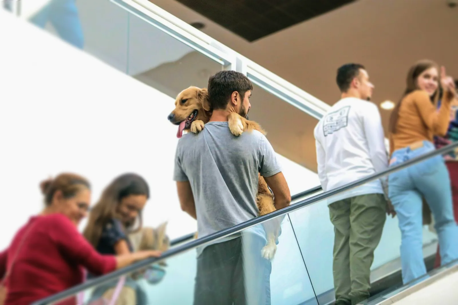 Visitantes em um espaço de convivência do shopping